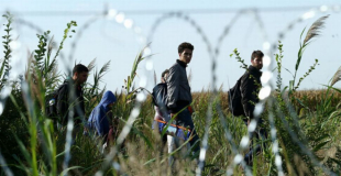 Przesłanie polskich Kościołów w sprawie uchodźców. Oto kto je podpisał