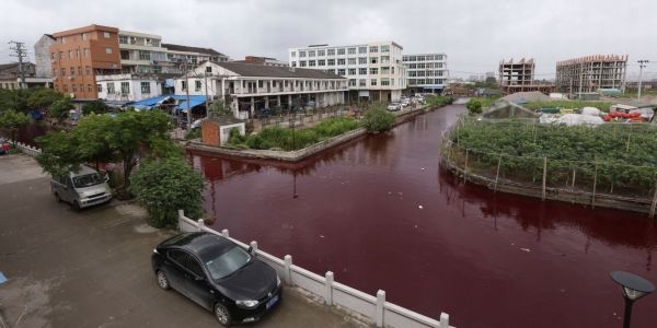 krwawa rzeka w wiosce Xinmeizhou pod Wenzhou